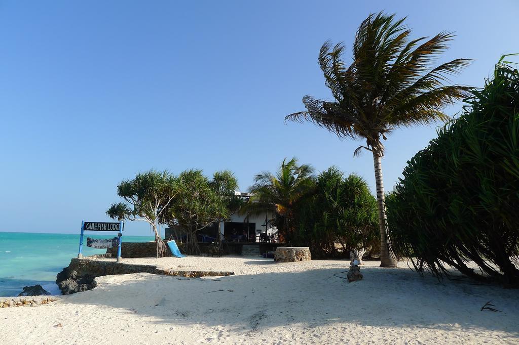 Game Fish Lodge Nungwi Extérieur photo